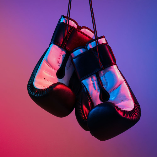 Pro Series Boxing Gloves