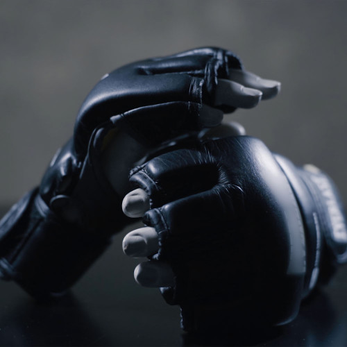 MMA Gloves 